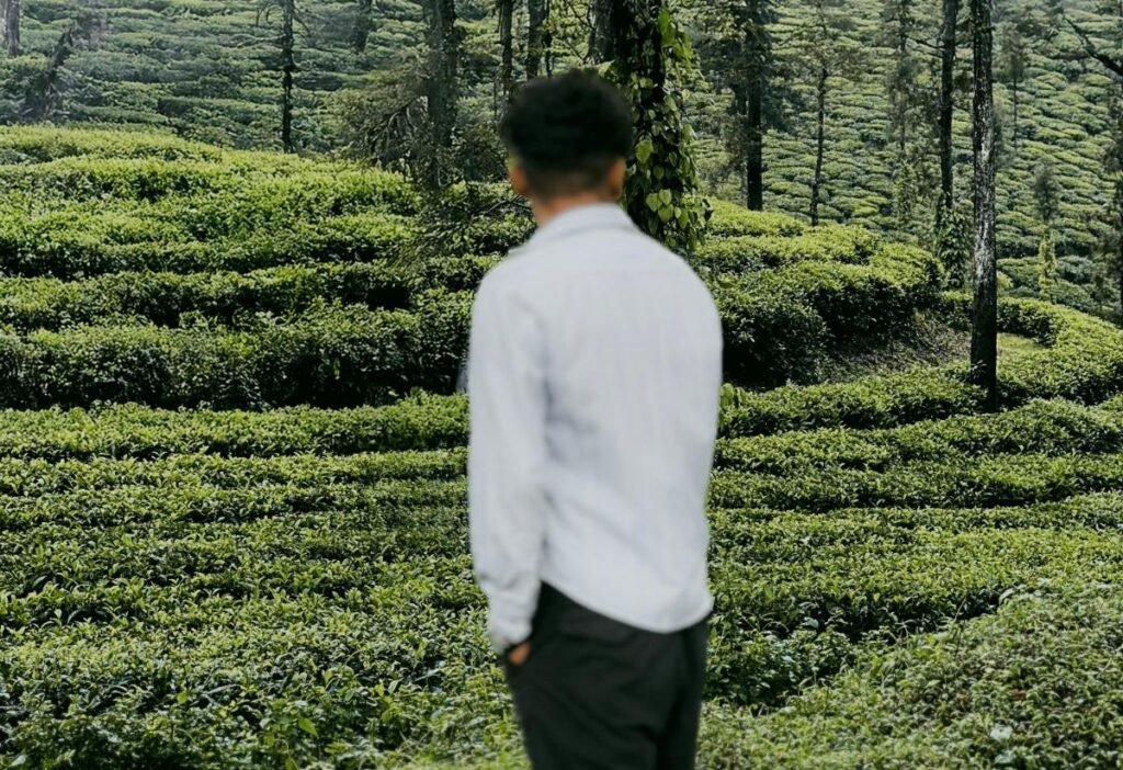 best digital marketing expert in thrissur